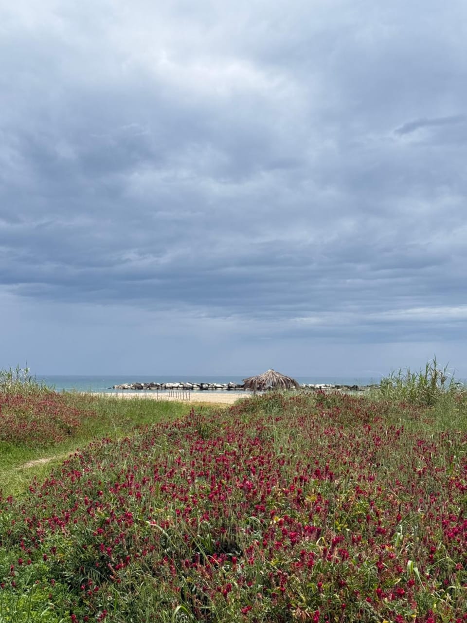 Sea view