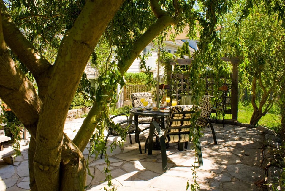 Patio, Day