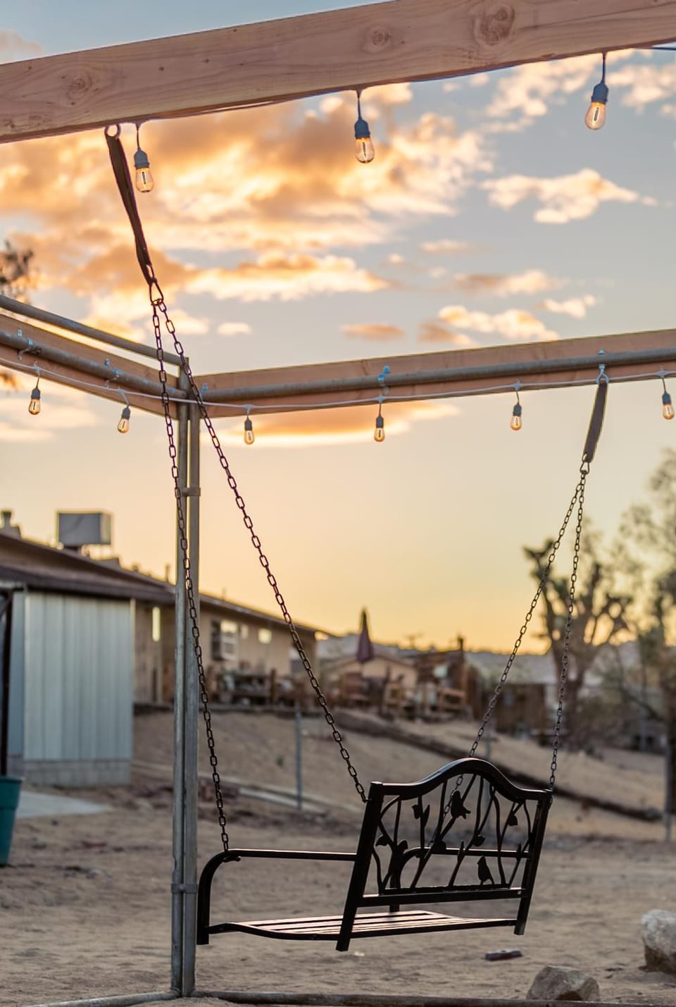 Activities, Garden, Sunset