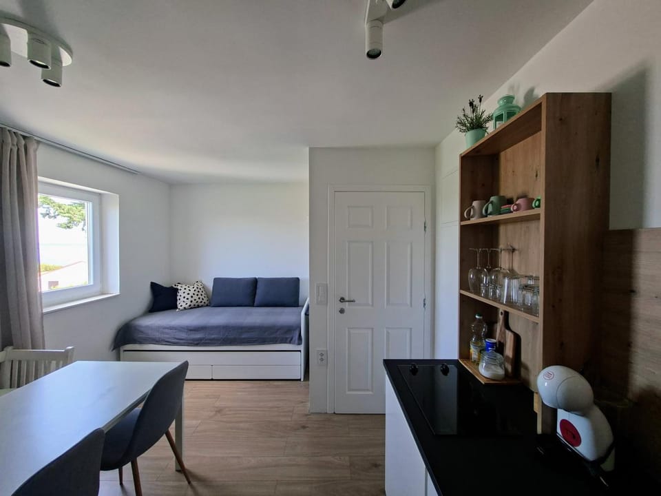 Kitchen or kitchenette, Living room, Seating area, Dining area
