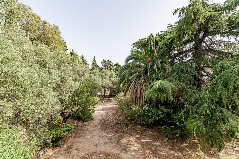 La Viguerie par Dodo-a-Cassis Apartment in Cassis