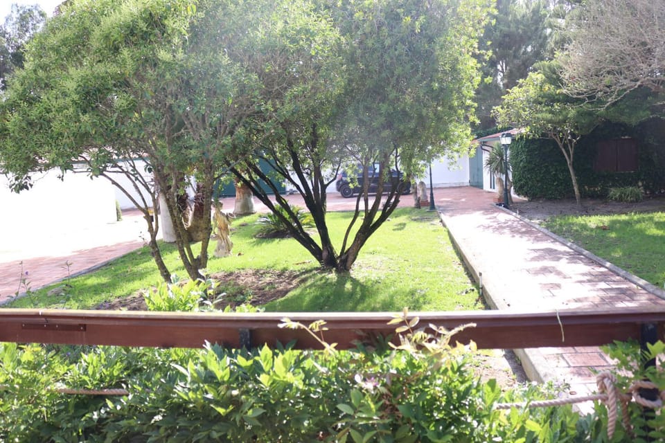 Property building, Garden, Garden view, Parking