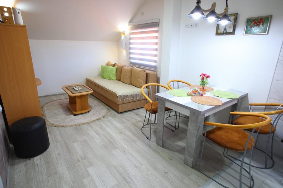 Apartmani Đorđević PANORAMA Apartment in Serbia
