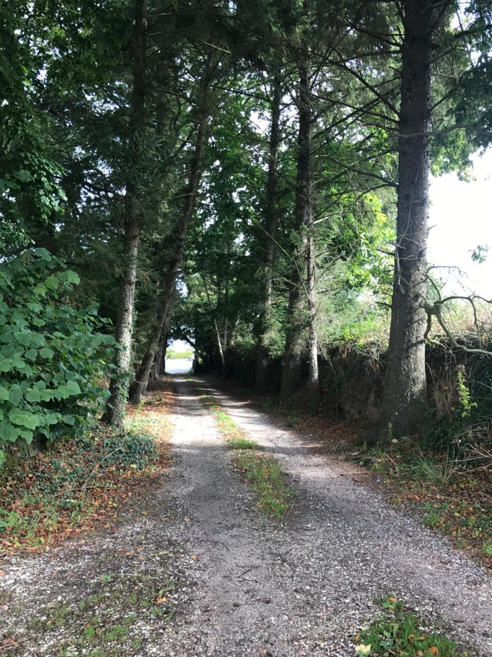 Parc ar Brun Bihan House in Brittany