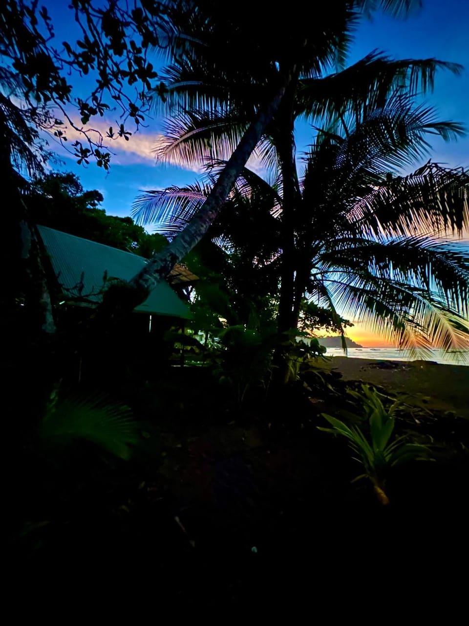 Natural landscape, Beach, Sea view, Sunset