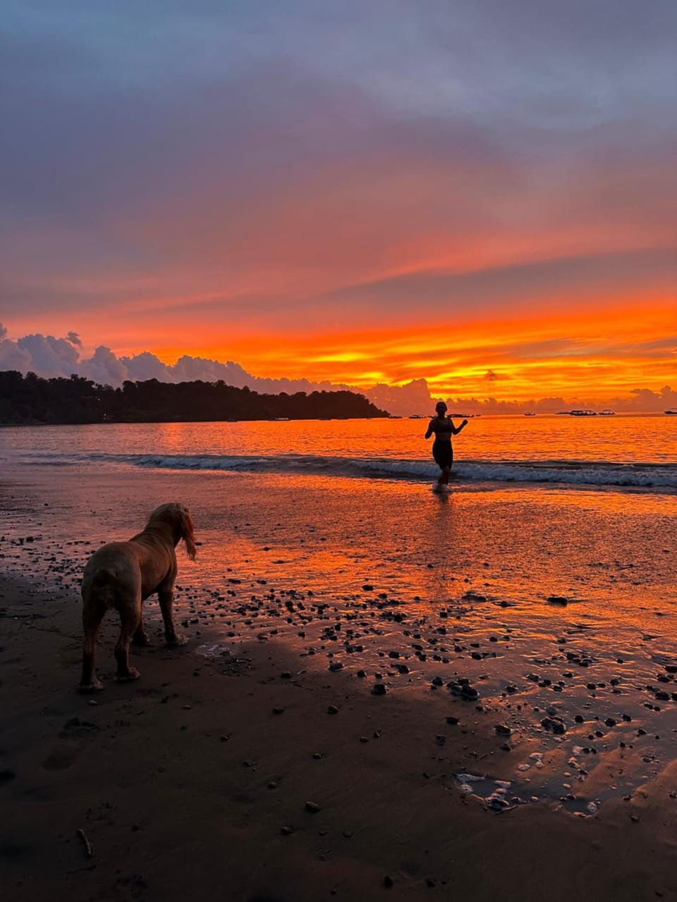 Beach, Sea view, Sunset