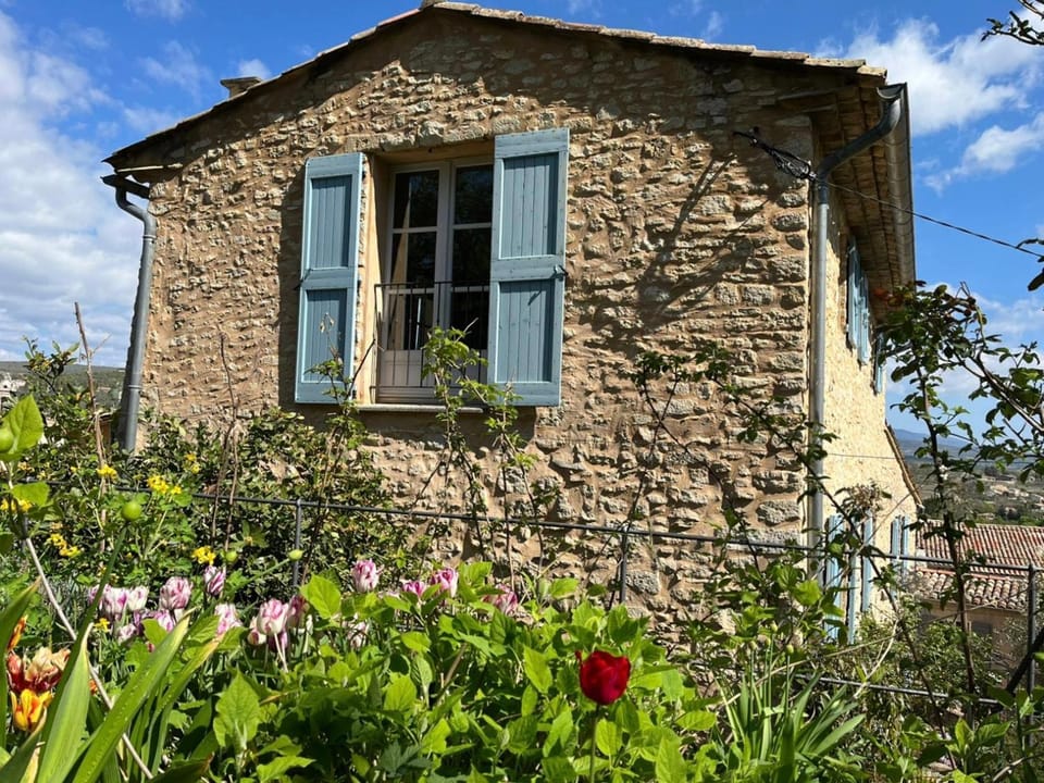 Spring, Garden