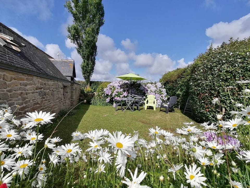 Property building, Garden