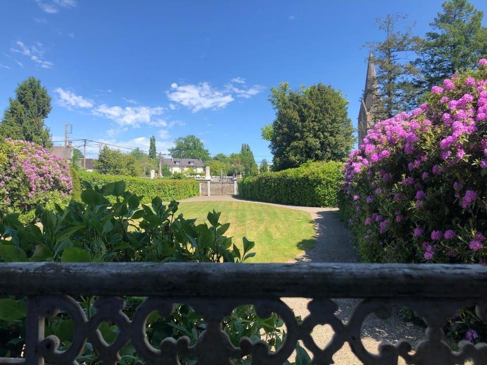 Garden view