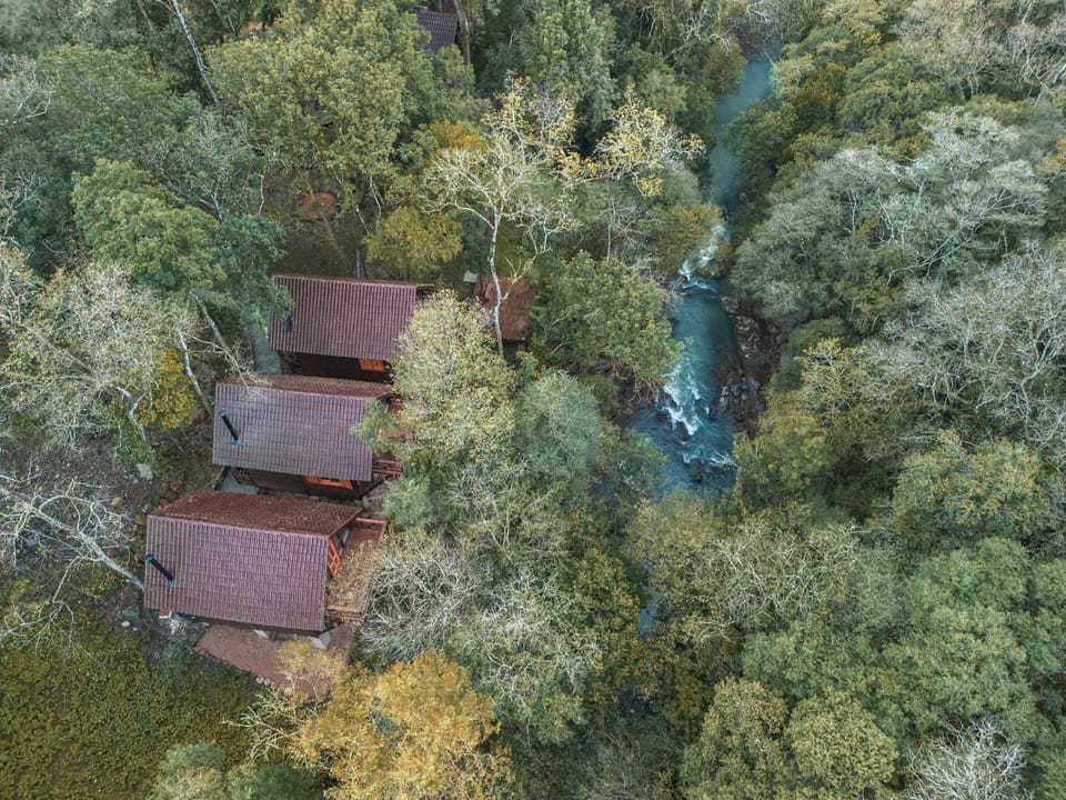 Cabanas dos Plátanos Chalet in State of Rio Grande do Sul