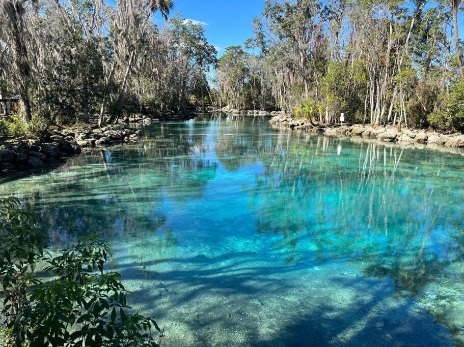 House of Manatees-Entire house with yard, fire pit, dog friendly House in Florida