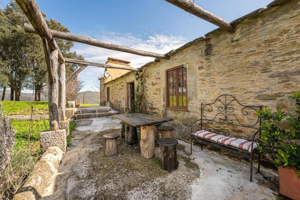 Patio, Spring, Day, Garden, Garden view