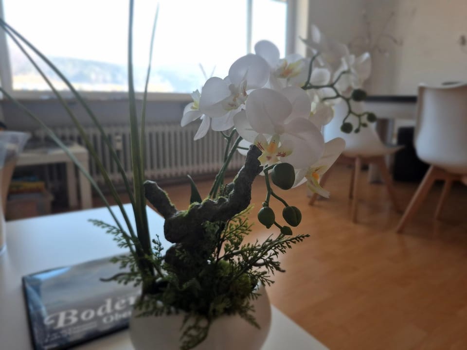 Seestudio mit toller Aussicht am Bodensee Apartment in Baden-Württemberg