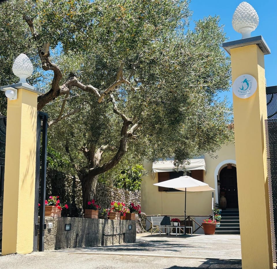 Marysa's house Bed and Breakfast in Massa Lubrense