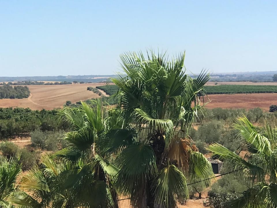 Natural landscape