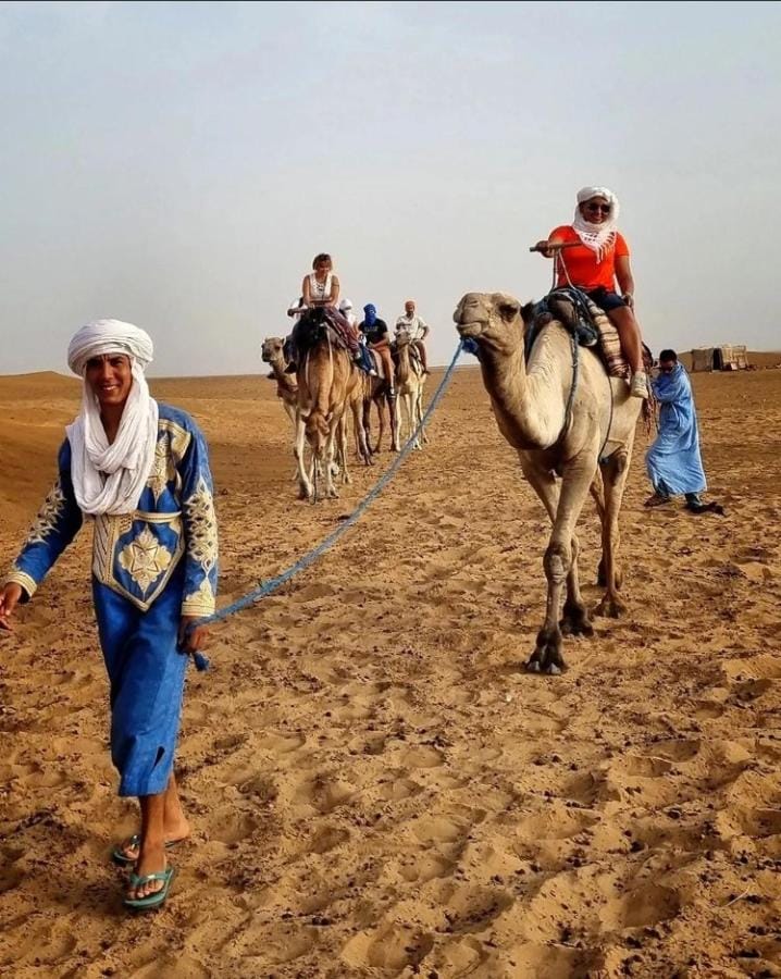 Horse-riding, Animals