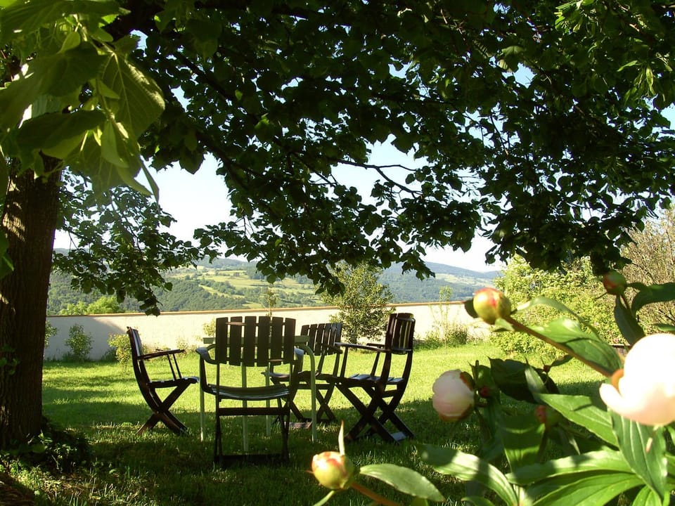 Garden view