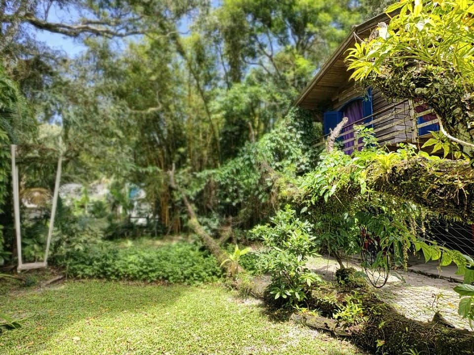 Property building, Natural landscape, Garden, Garden view, Inner courtyard view