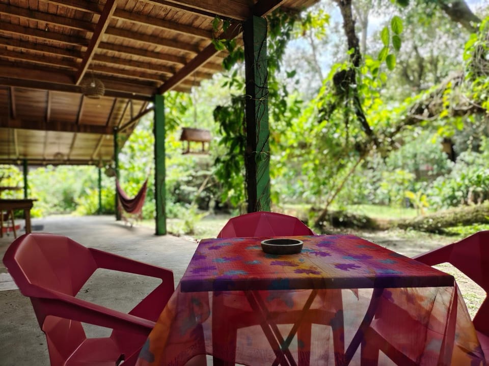 Patio, Garden, Dining area, Garden view
