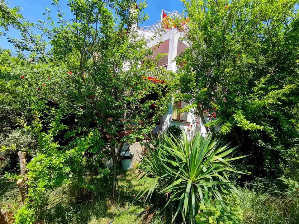 Двойна стая вила Фани Bed and Breakfast in Burgas Province