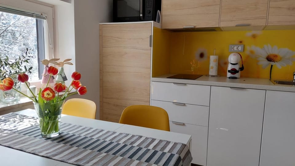 minibar, pet friendly