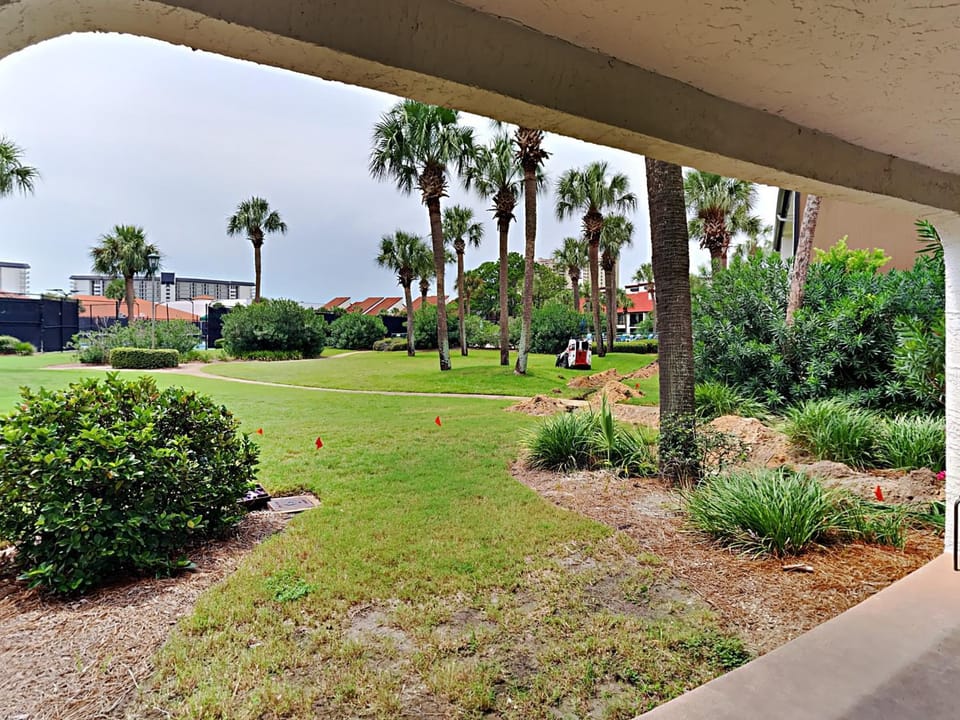 Natural landscape, Garden