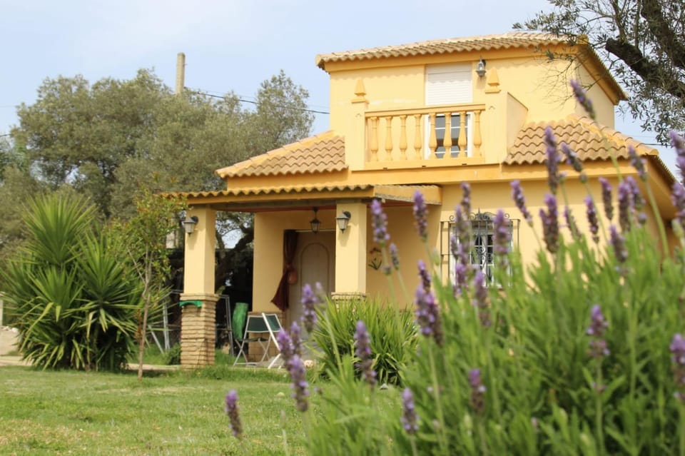 Property building, Garden