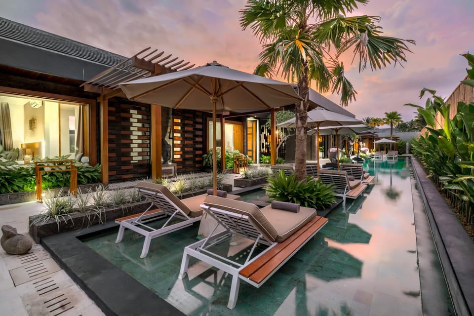 Garden, Garden view, Pool view, Swimming pool, sunbed