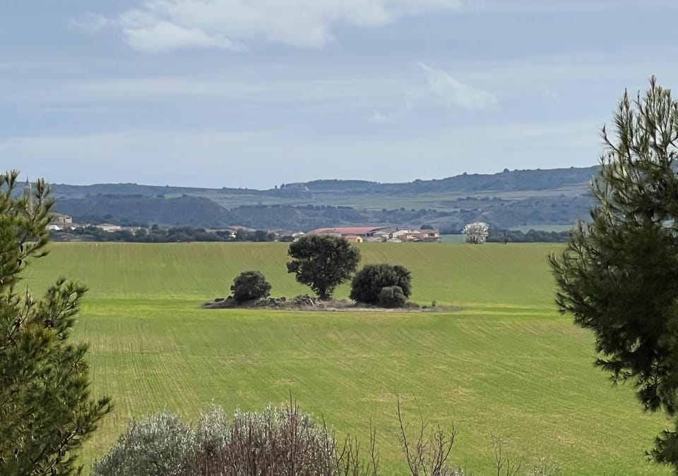 Natural landscape, View (from property/room)