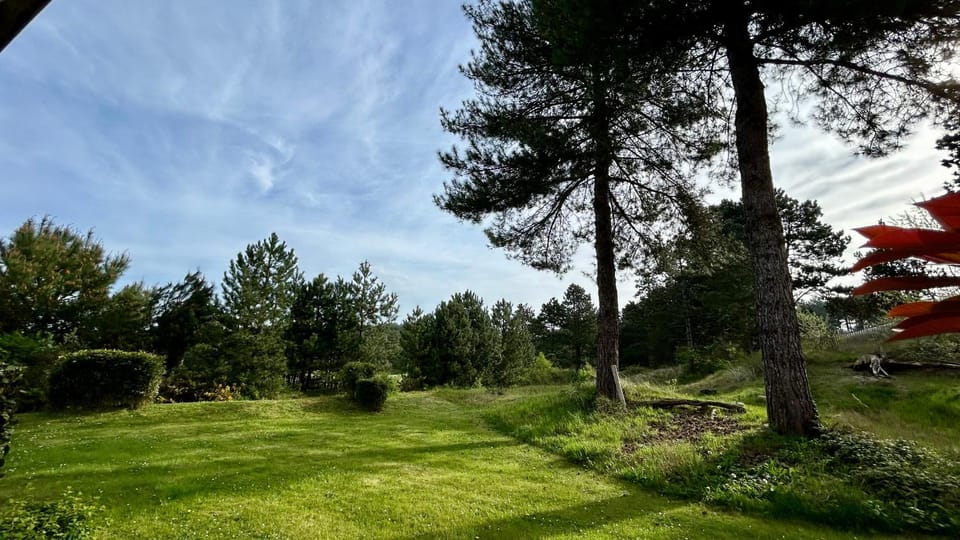Natural landscape, Garden, Garden view