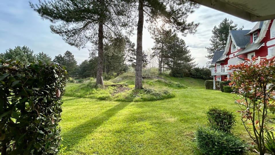 Day, Garden, Garden view