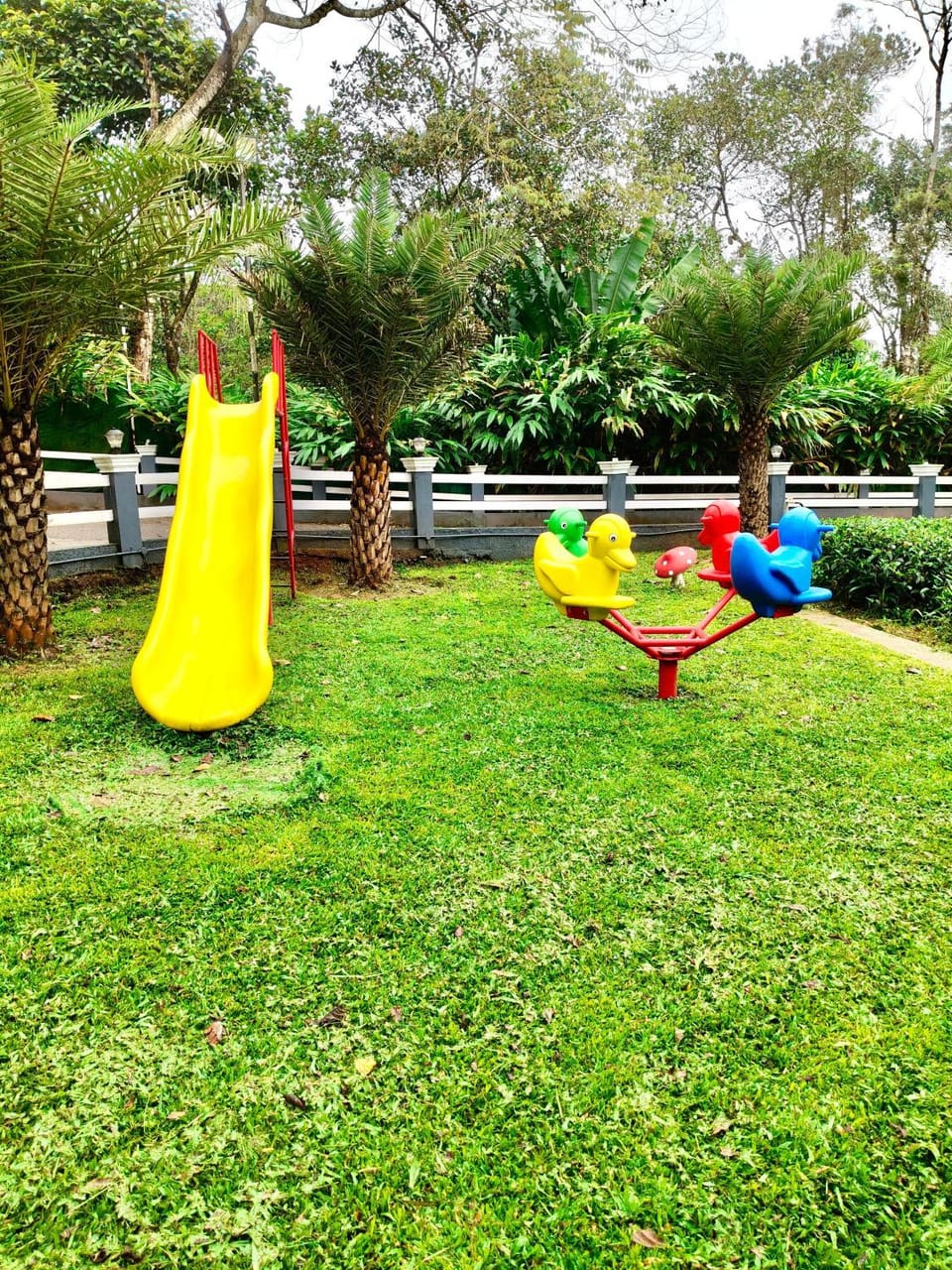 Children play ground