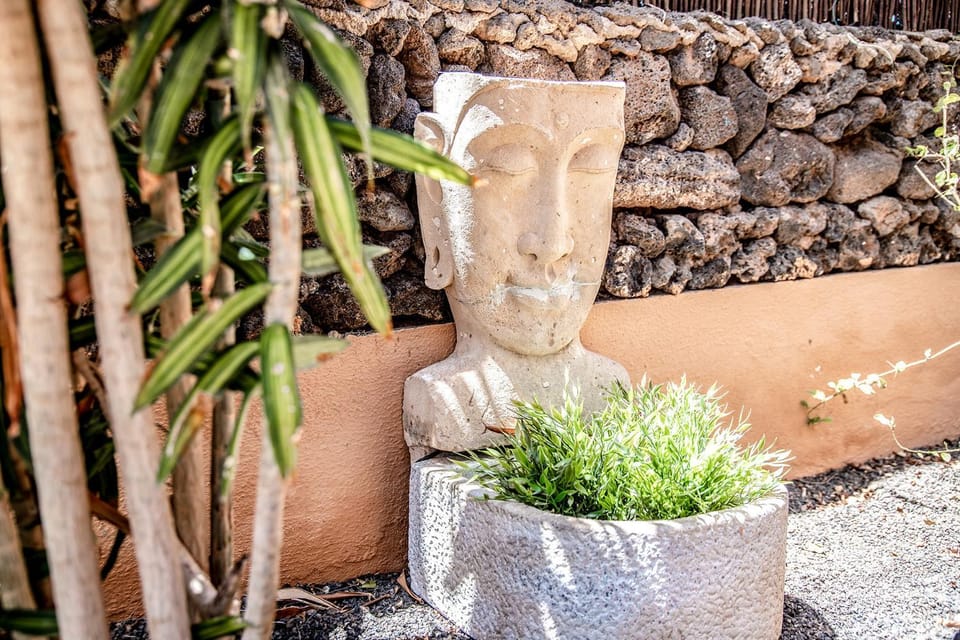 Patio, Garden, Garden view