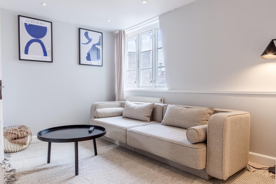 Penthouse w/rooftop terrace in latin quarter Apartment in Copenhagen