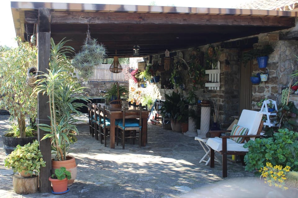 Patio, Garden, Dining area