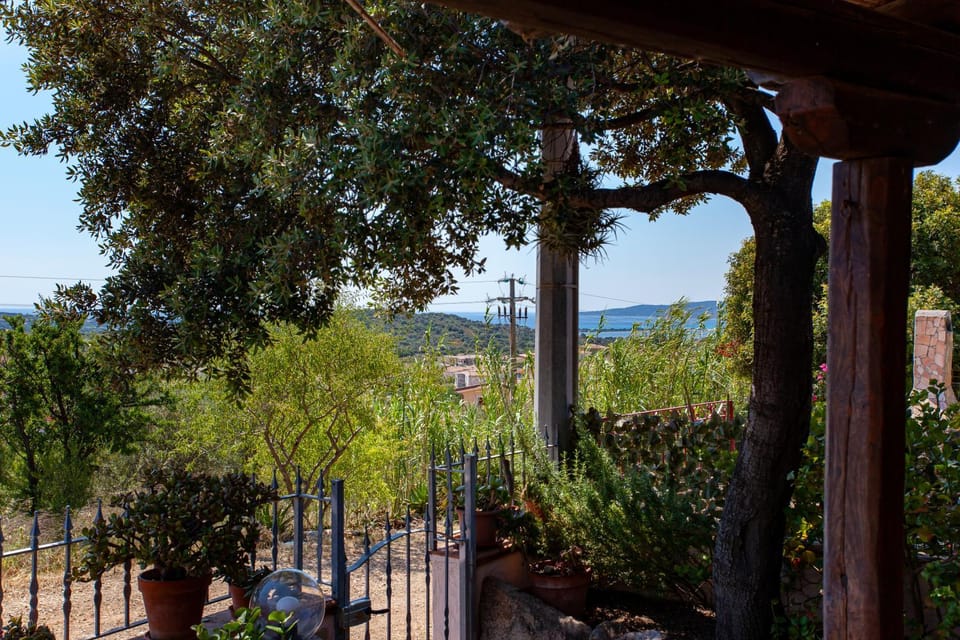 Natural landscape, Garden