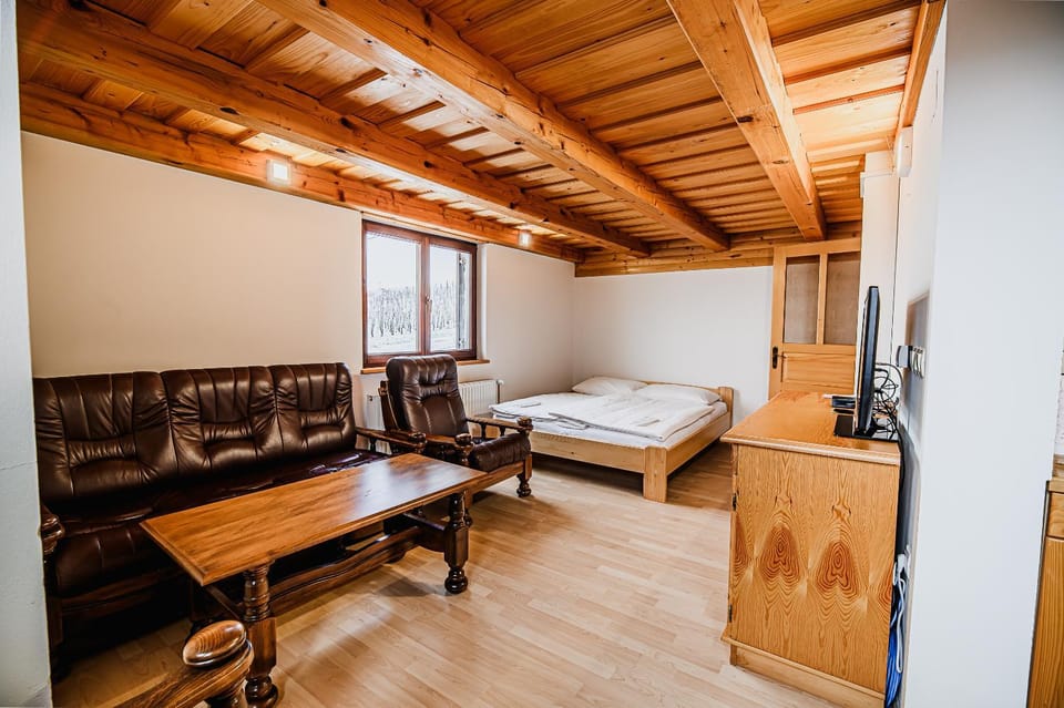 Bed, TV and multimedia, Living room, Seating area