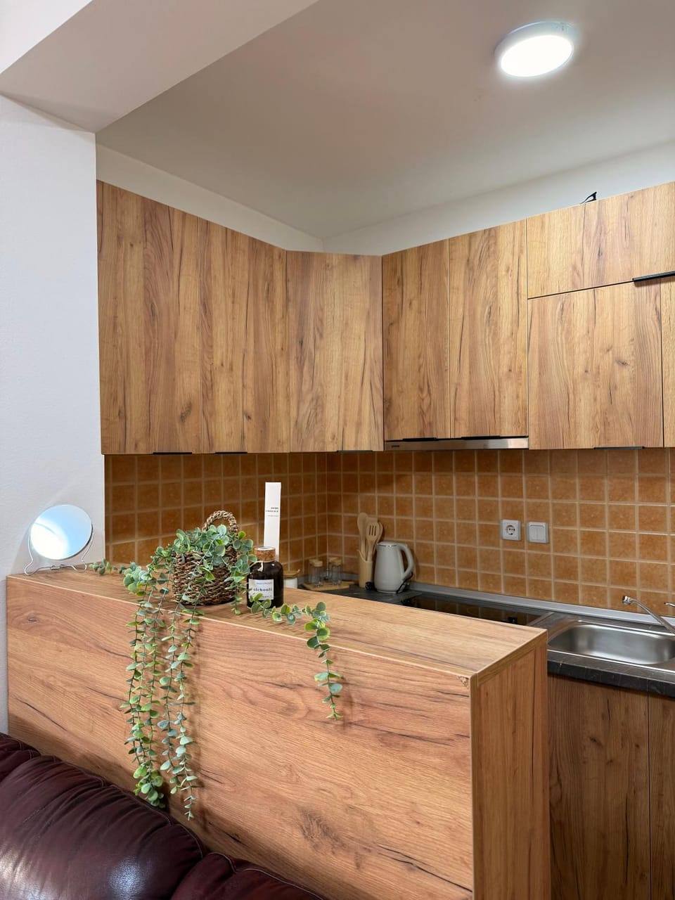 Apartman Andjela Apartment in Serbia