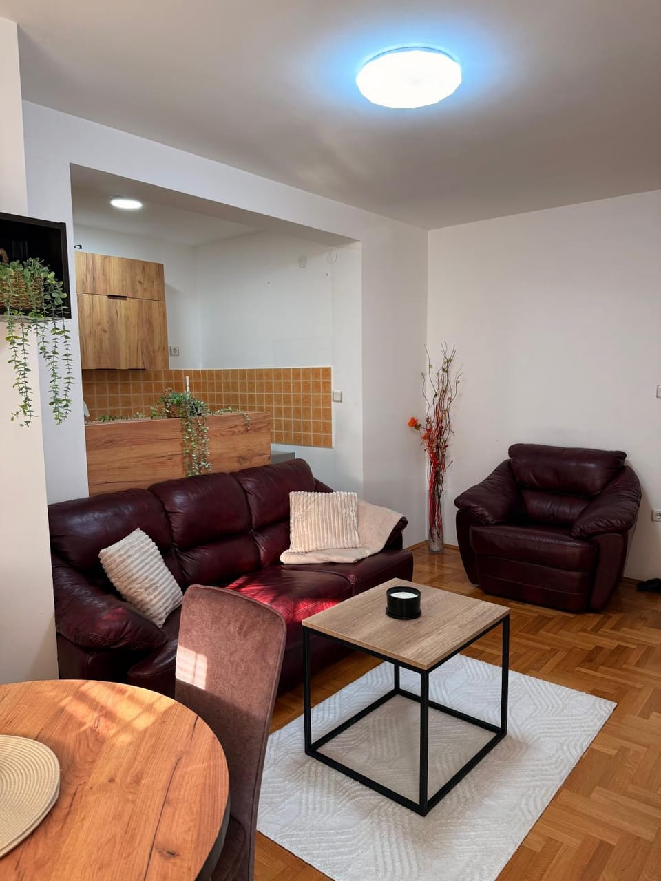 Apartman Andjela Apartment in Serbia