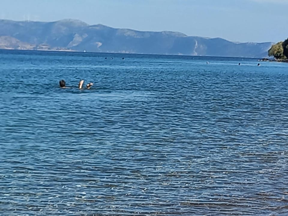 Beach, Sea view