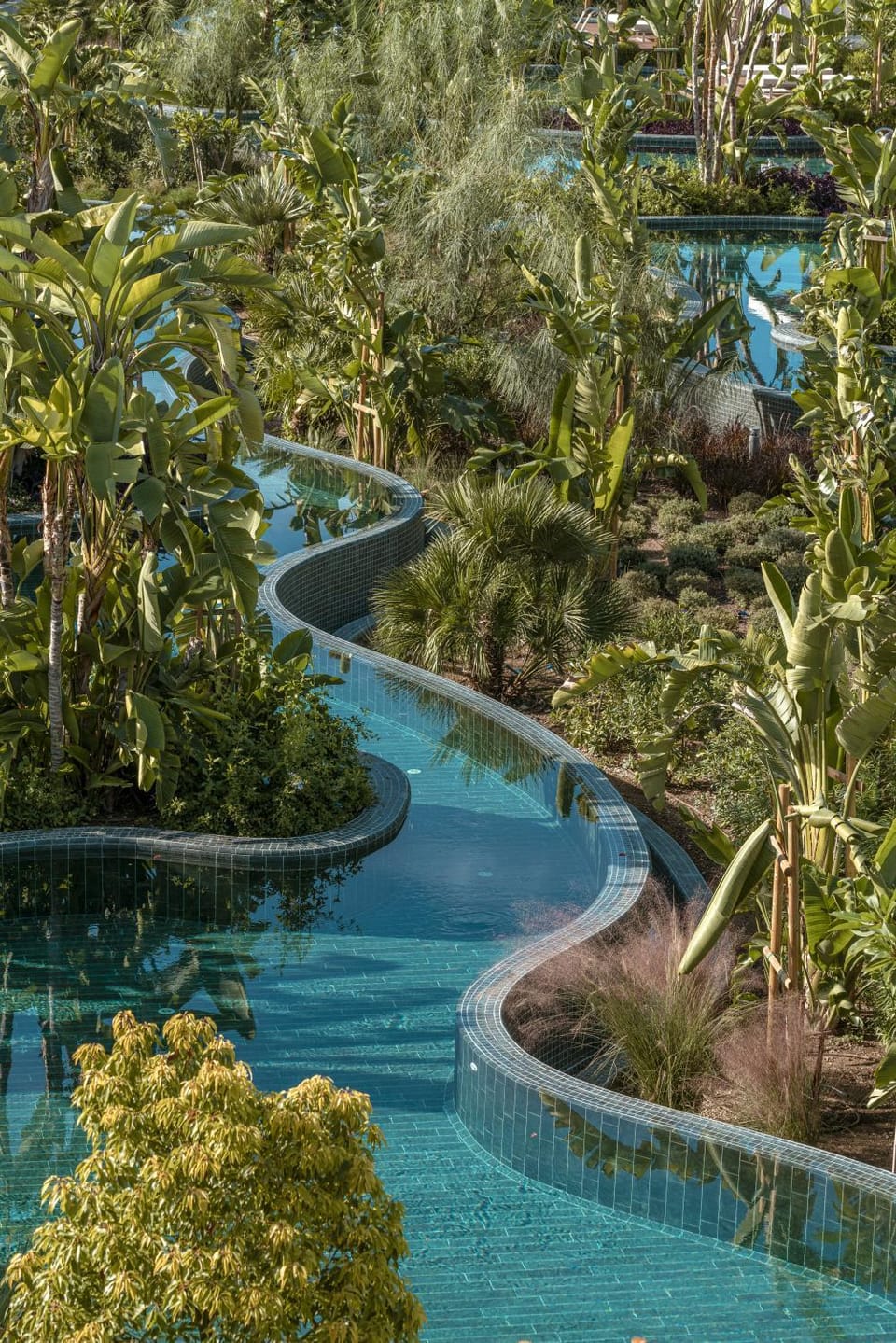 Natural landscape, Garden, Garden view, Pool view, Swimming pool