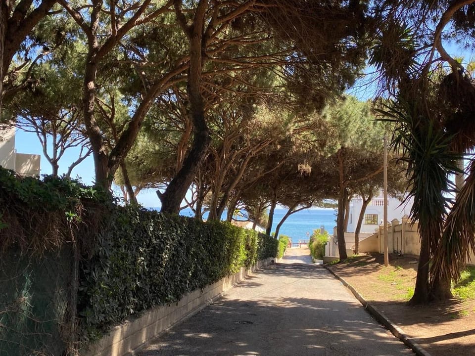 Off site, Neighbourhood, Beach