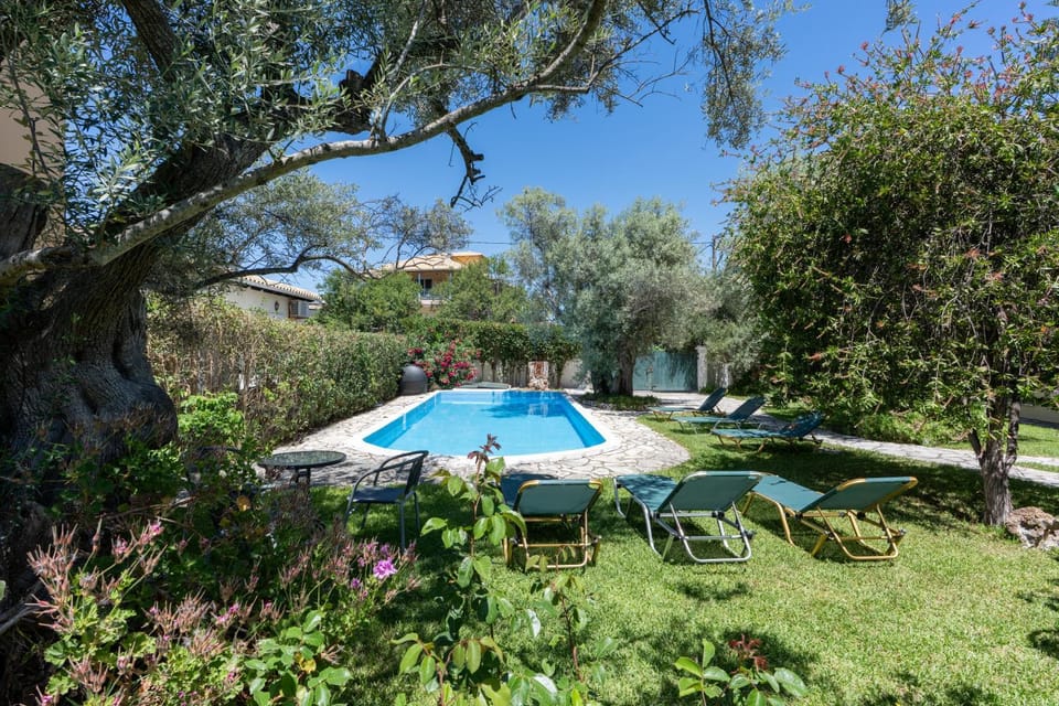 Day, Natural landscape, Garden, Garden view, Pool view, Swimming pool, sunbed