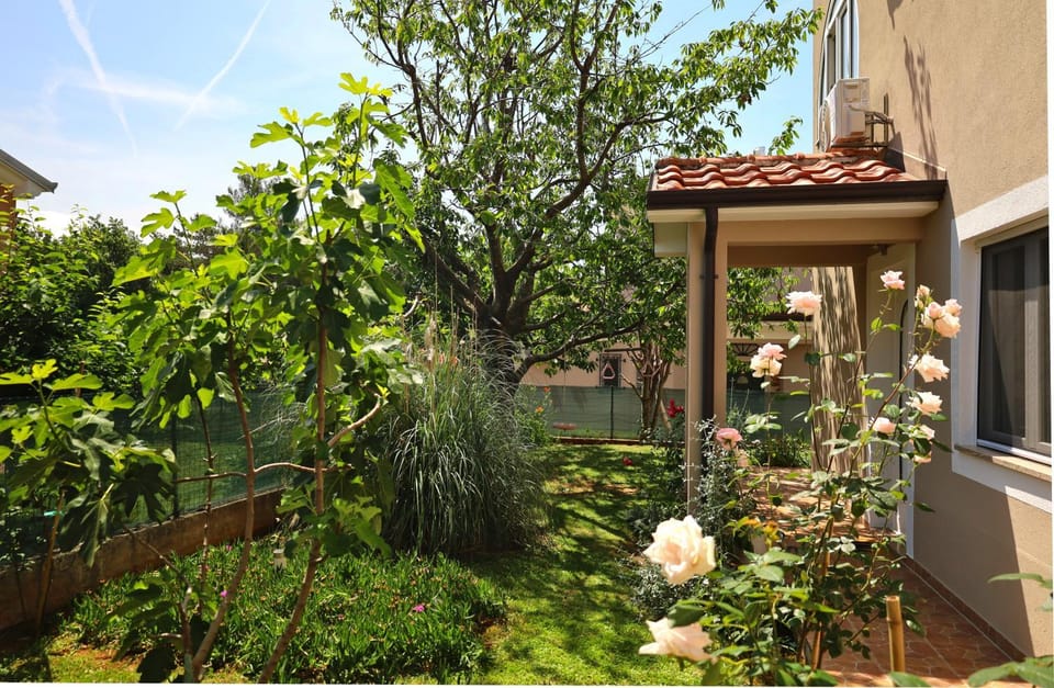 Property building, Facade/entrance, Garden, Garden