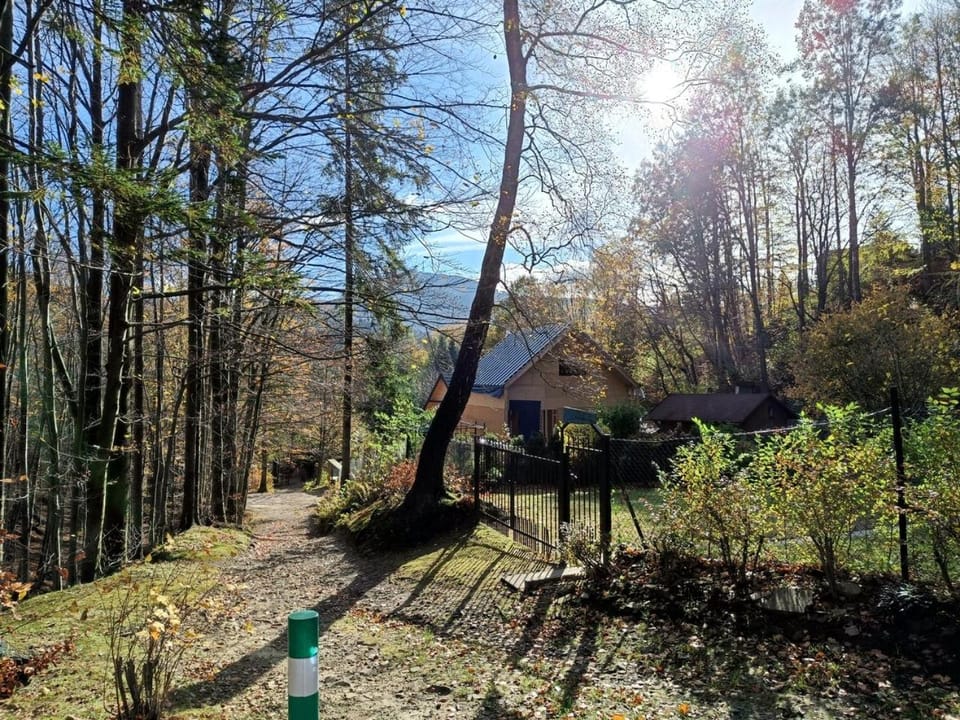 Natural landscape