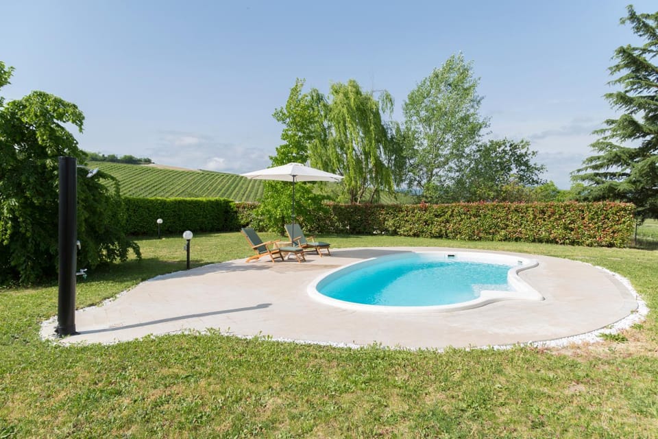 Garden, Swimming pool