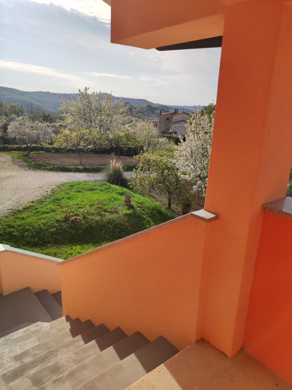 Garden view