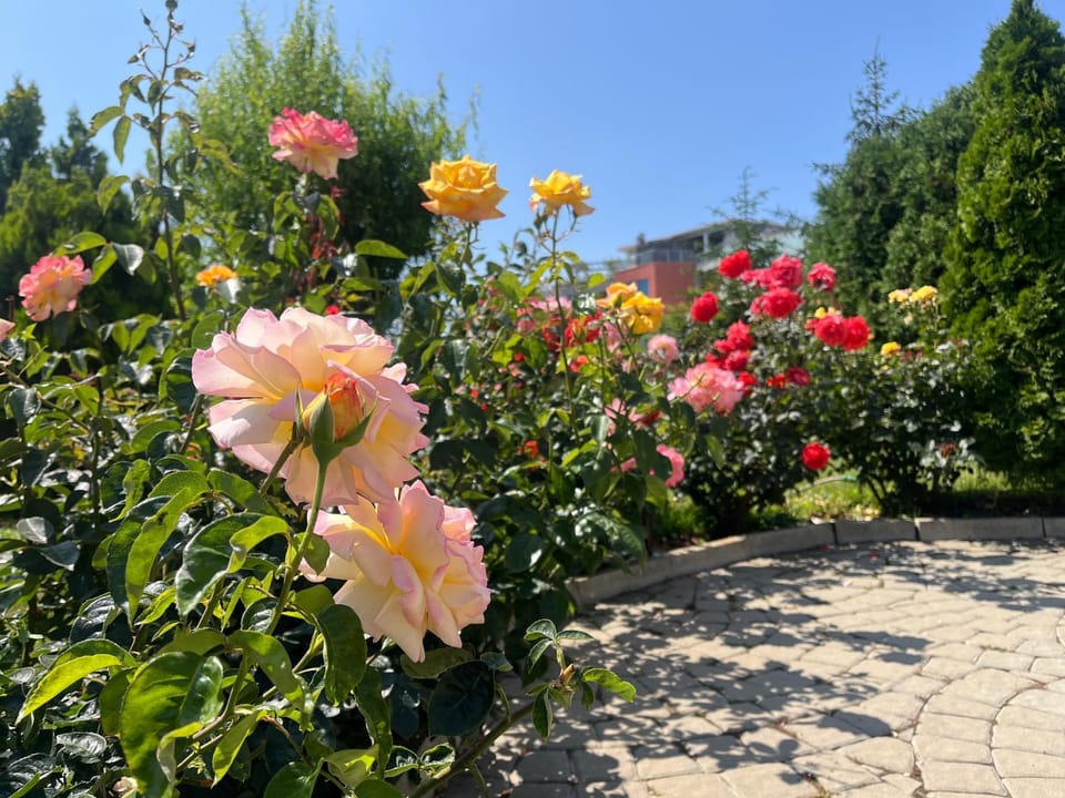 Spring, Day, Garden, Garden view