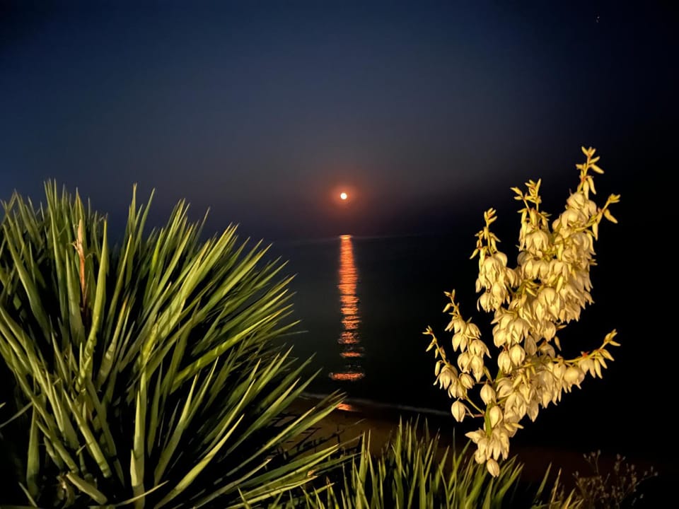 Night, Natural landscape, Sea view
