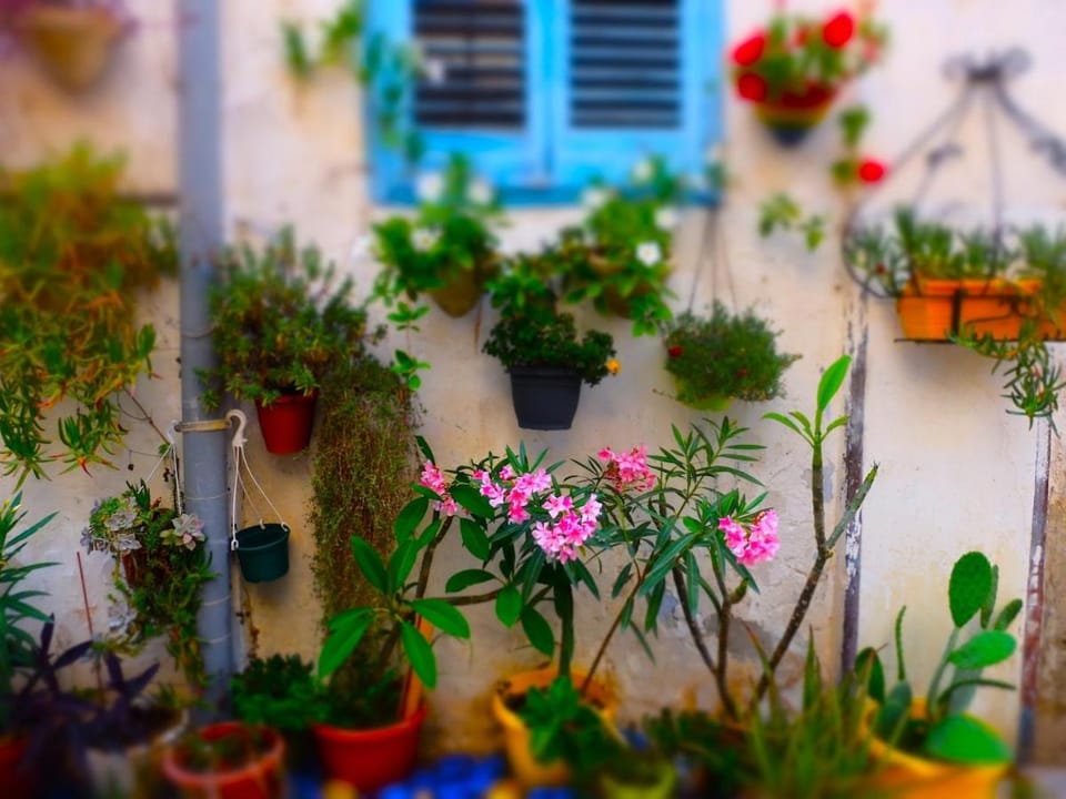 AlCasart Apartment in Alcamo